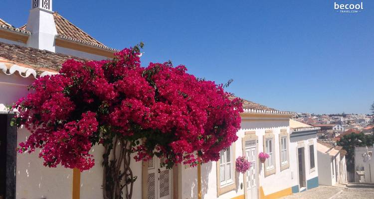 Relax in Tavira, Sun & Beach 8 Days Pack - Be Cool 2