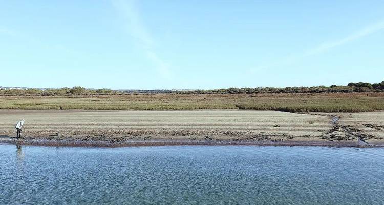Relax in Tavira, Sun & Beach 8 Days Pack - Be Cool 6