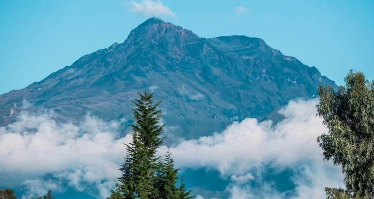 Équateur et Galápagos : 8 jours de magie de la nature - Wanderful Holidays LLC 2