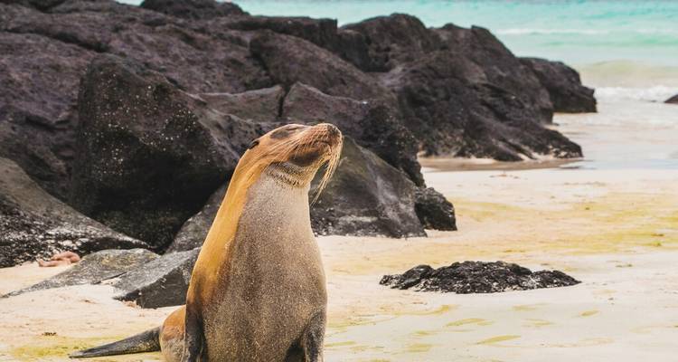 Équateur et Galápagos : 8 jours de magie de la nature - Wanderful Holidays LLC 7