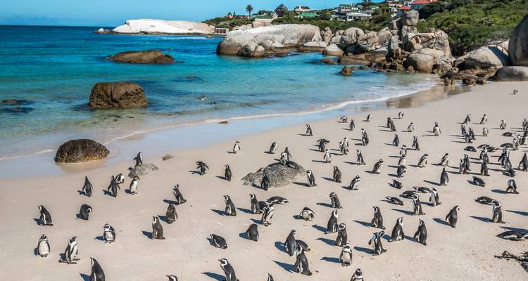 ESSENCE OF SOUTH AFRICA - Culture Holidays Private Limited 2