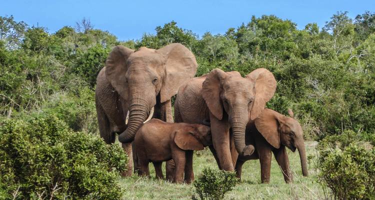 ESSENCE OF SOUTH AFRICA - Culture Holidays Private Limited 3