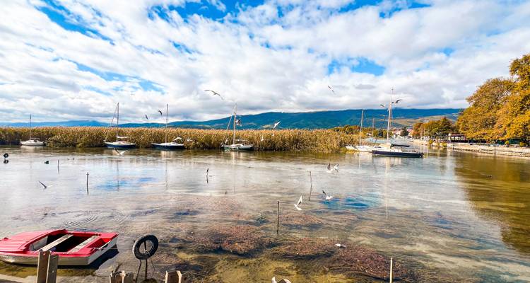 From Tirana, Day Tour: UNESCO site Ohrid Lake and Saint Naum Monastery - LIT Travel and Tours  9