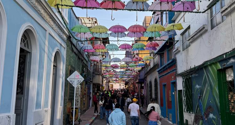 21-day Colombia, Peru, Bolivia, & Chile Tour with Inca Trail & Bolivia Salt Flats Tour - The Dragon Trip 9