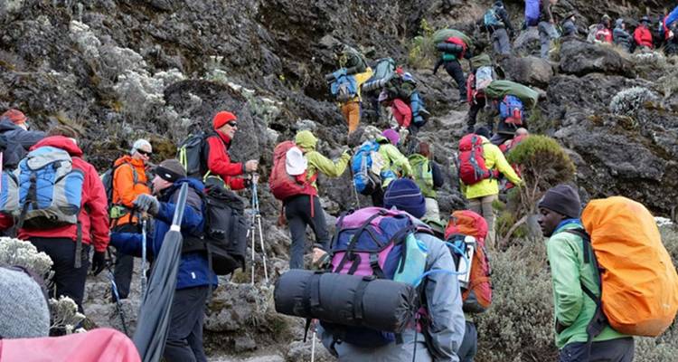 7-Day Tanzania Mount Kilimanjaro Climb via Machame Route - Hazzes Adventure 2