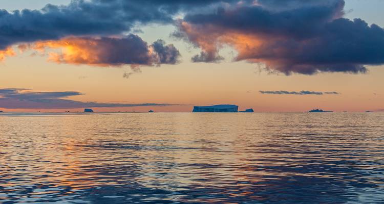 Antarctica, South Georgia & Falklands Explorer - 19 days - On The Go Tours 6