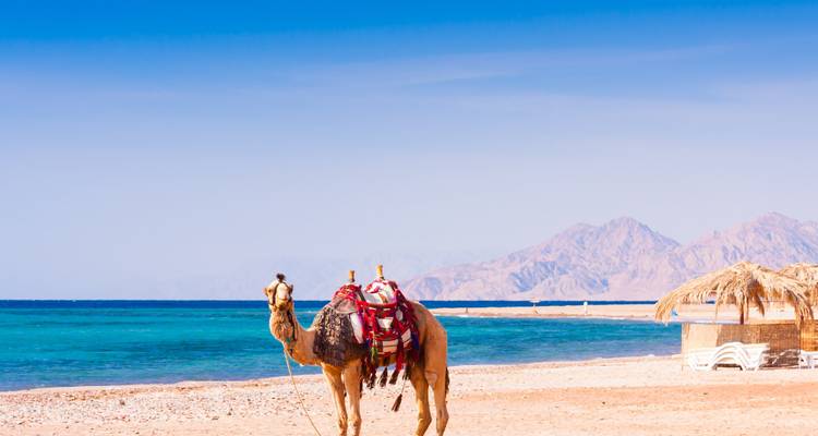 Egipto Místico - Culture Holidays Private Limited 4