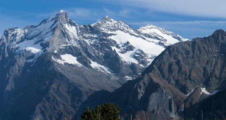 Alpes suizos con las rutas del Bernina y el Glacier Exprés - Wanderful Holidays LLC 4