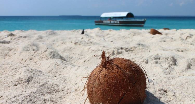 An Unforgettable Island Adventure in Zanzibar 3 Days/2 Nights - Across Africa Tours & Travel 7