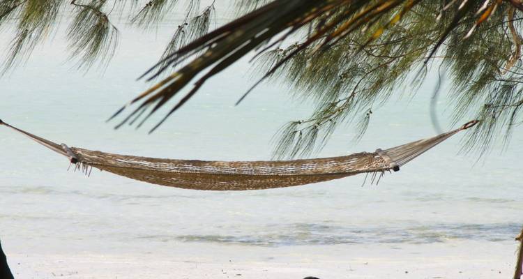 An Unforgettable Island Adventure in Zanzibar 3 Days/2 Nights - Across Africa Tours & Travel 8