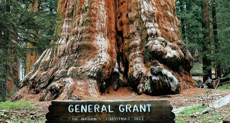 Sequoia & Kings Canyon National Parks featuring San Diego and California’s Central Coast (San Diego, CA to Los Angeles, CA) (2026) - Collette 3