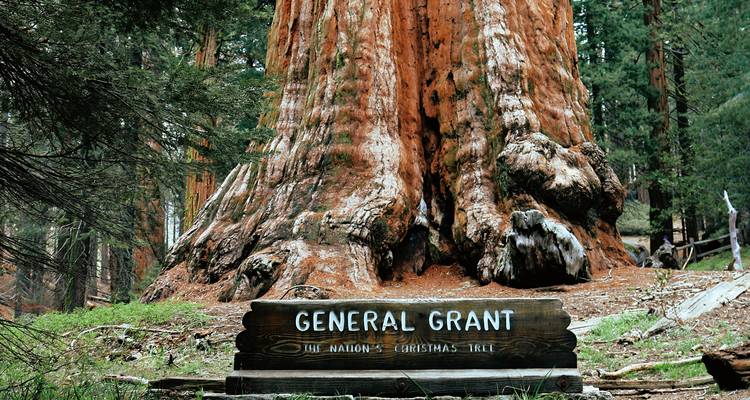 Sequoia & Kings Canyon National Parks featuring San Diego and California’s Central Coast (San Diego, CA to Los Angeles, CA) (2026) - Collette 4