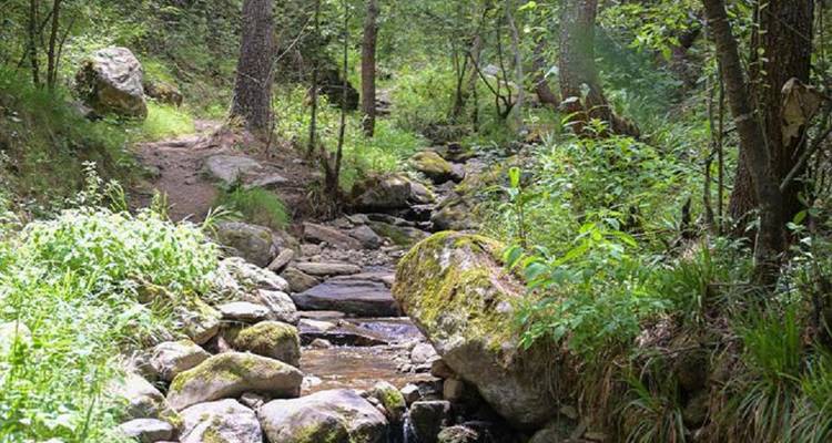 Un sentier forestier ombragé serpente le long de rochers couverts de mousse et d'un petit ruisseau.