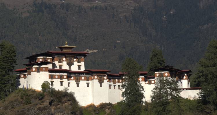 Un vaste complexe de dzong blanc avec des boiseries ornementées se dresse sur une colline boisée.