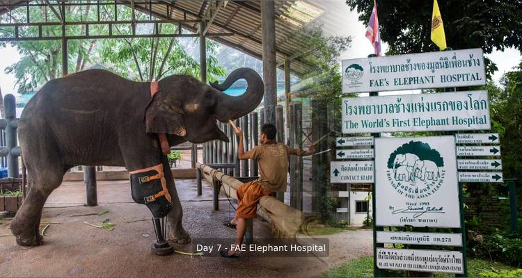 Tailandia vegana - GoVegan Travel 8