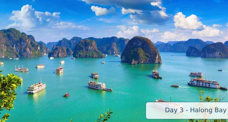 Vietnam végétalien - GoVegan Travel 3