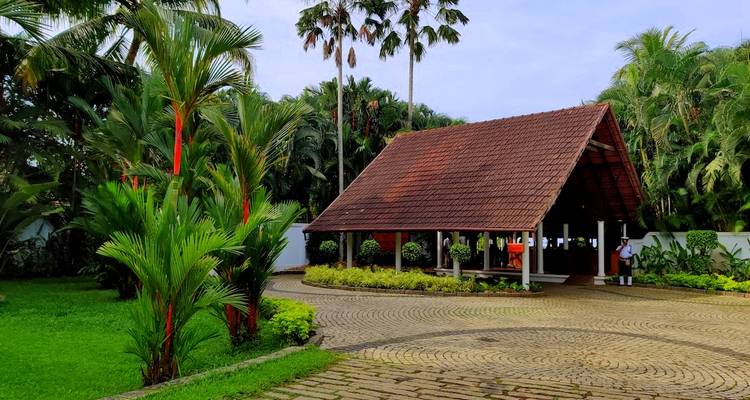 Circuit du patrimoine culturel du Kerala (8 nuits/9 jours) - Yoganshi Travel 3