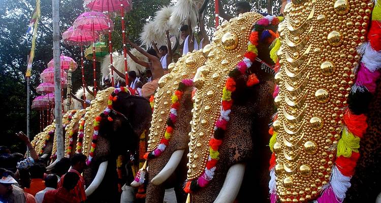 Circuit du patrimoine culturel du Kerala (8 nuits/9 jours) - Yoganshi Travel 4