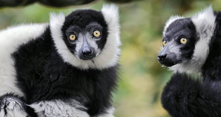 Mix of Adventure, Nature, Culture, and Relaxation 29 Days/28 Nights - Across Africa Tours & Travel 2