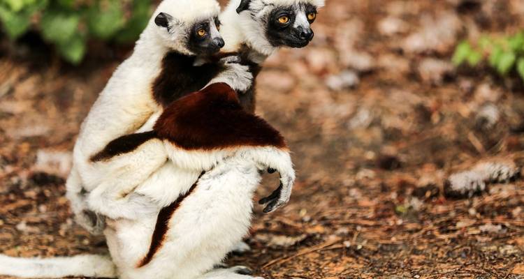 Mix of Adventure, Nature, Culture, and Relaxation 29 Days/28 Nights - Across Africa Tours & Travel 6
