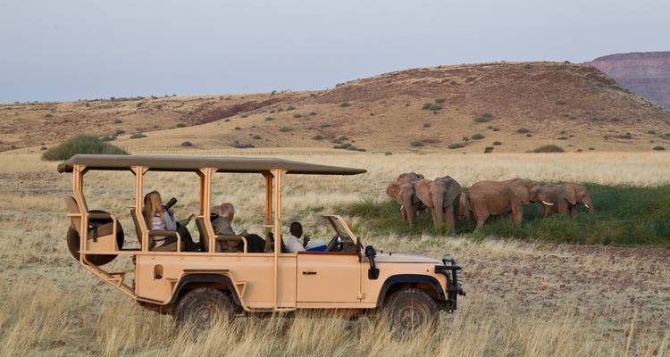 Safari de luxe de 10 jours dans le désert de Namibie - Professional Safari Africa 9