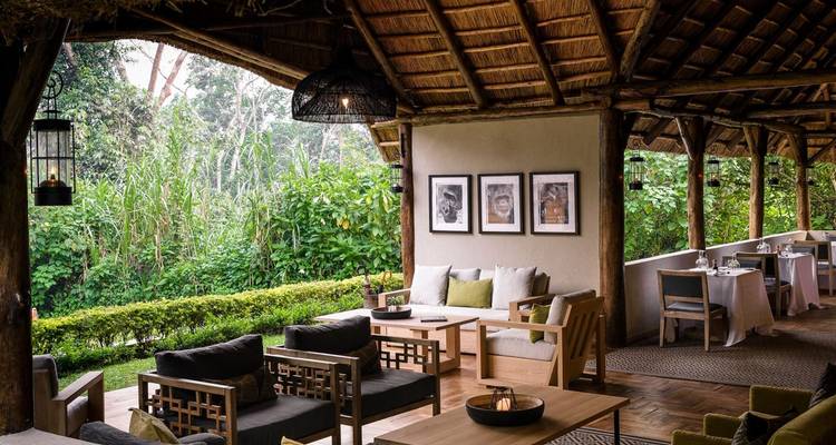 8 jours de safari en Ouganda avec les chimpanzés, les gorilles et les Big 5 - T.S TOURS 1