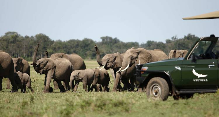 8 jours de safari en Ouganda avec les chimpanzés, les gorilles et les Big 5 - T.S TOURS 2