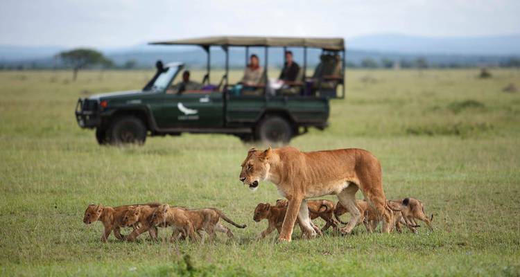 8 jours de safari en Ouganda avec les chimpanzés, les gorilles et les Big 5 - T.S TOURS 8