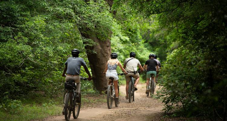 Lujo Sudáfrica Explorador National Geographic: Safari por Ciudad del Cabo y Kruger - T.S TOURS 7