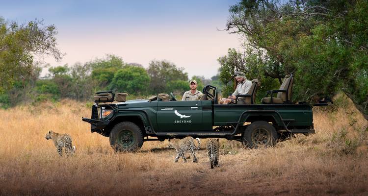 Lujo Sudáfrica Explorador National Geographic: Safari por Ciudad del Cabo y Kruger - T.S TOURS 8