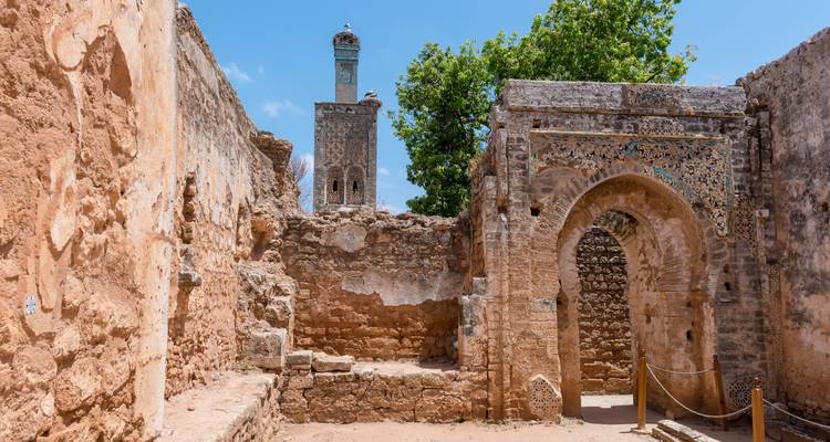 Marruecos ida y vuelta 8 días Marruecos fascinante: ciudades reales y desierto - Oasis Travel 1