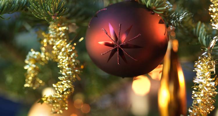 Magic of Advent on the Danube (Nuremberg - Vienna) (6 destinations) - Lueftner Cruises 6