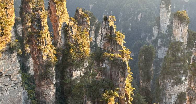 Formaciones rocosas altas y estrechas con vegetación