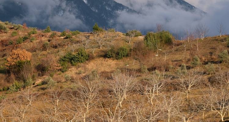 Safari en jeep dans les paysages d'hiver en Albanie - Drive Albania Tours 10