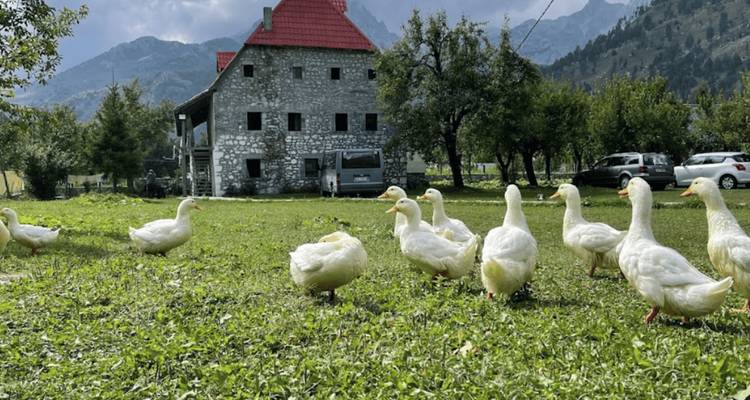 Escapades dans les Alpes : Le lac Koman et les merveilles naturelles de Valbona - InAlb TPP Shpk 1