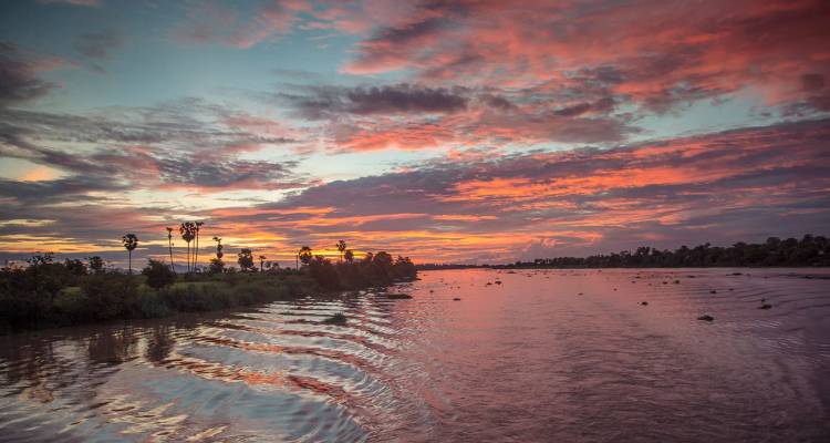 Una puesta de sol rosada y anaranjada ardiente se refleja en un amplio río tropical bordeado de palmeras.