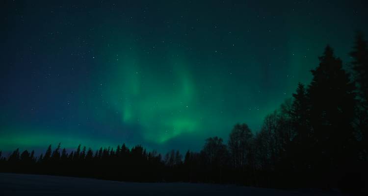 L'hiver en Finlande : Lapland & Northern Lights - G Adventures 3