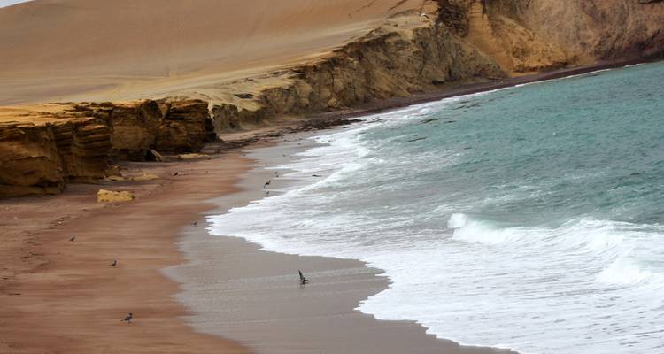 Línea costera desértica con acantilados dorados y olas turquesas a lo largo de la orilla de la Reserva Nacional de Paracas.