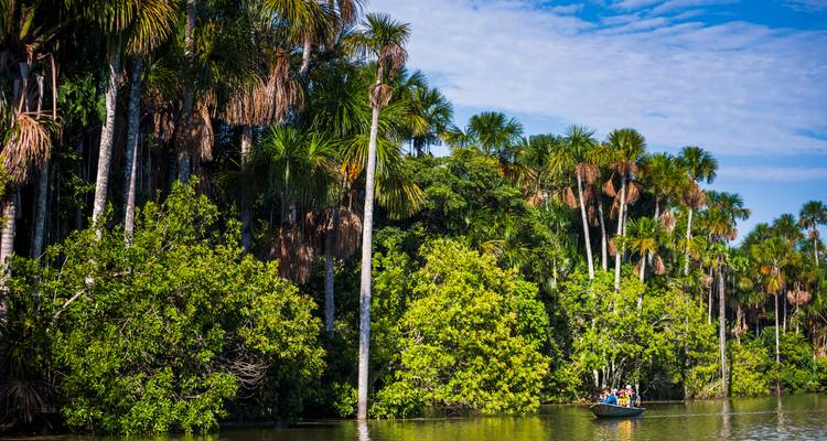 Dichte groene jungle met palmbomen en mensen in een kano.
