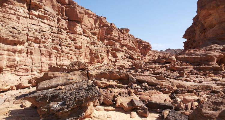 De la Jordanie à l'Égypte : La péninsule du Sinaï et l'étincelante mer Rouge - G Adventures 6