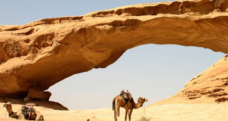 Rocky sandstone arch rising over sandy desert with two saddled camels resting beneath a clear sky.