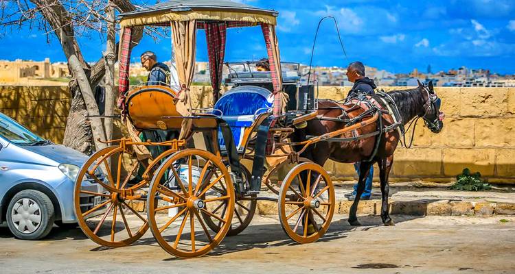 Tailor-made 4 Days Malta Family Tour, Daily Starts & Private Guide - Agate Travel 2