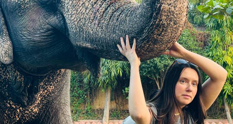 Personne interagissant avec un éléphant dans un jardin.