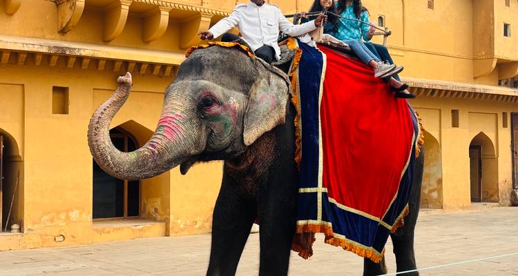 Touristen reiten auf einem reich geschmückten Elefanten, der von einem Mahut vor den senfgelben Mauern und Bögen einer historischen Festung geführt wird.