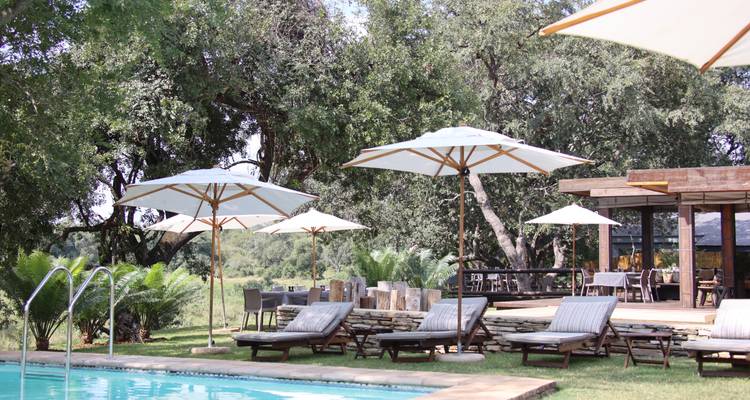 Deambulando entre gigantes: Safari de 8 días a la Gran Migración en Tanzania - T.S TOURS 7
