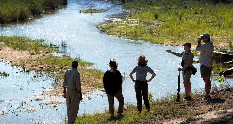 Deambulando entre gigantes: Safari de 8 días a la Gran Migración en Tanzania - T.S TOURS 10