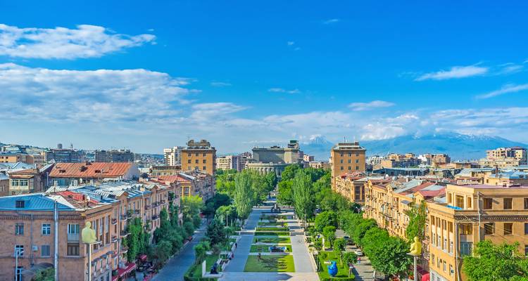 Bomenrijke straat in een stad met bergen in de verte.