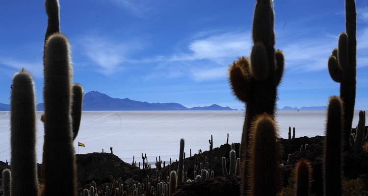 Bolivia Classic - Latin Adventures 4