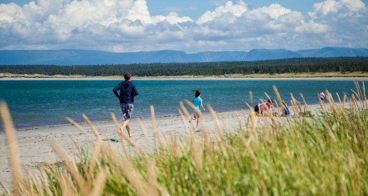 Trésors de l'Atlantique : Terre-Neuve et Labrador en voiture - Landsby 7