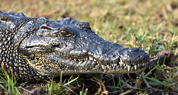 África Inolvidable: De Ciudad del Cabo al Delta del Okavango - G Adventures 4